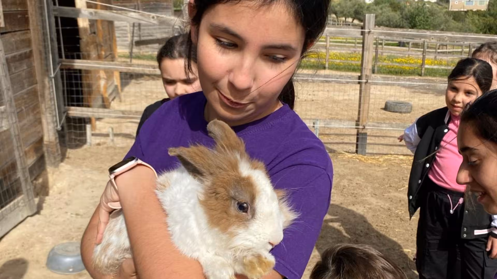 Child holding fluffy rabbit at Cagliari farm, enjoying hands-on animal experience in a rustic setting.