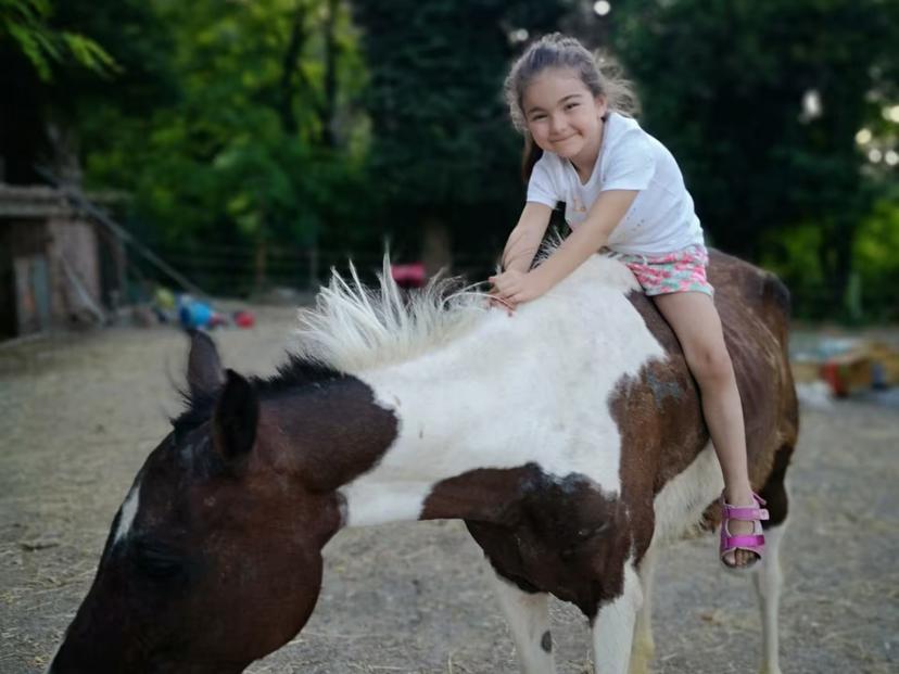 Child joyfully riding a horse at a scenic Pesaro farm, perfect for family-friendly animal adventures and nature tours.