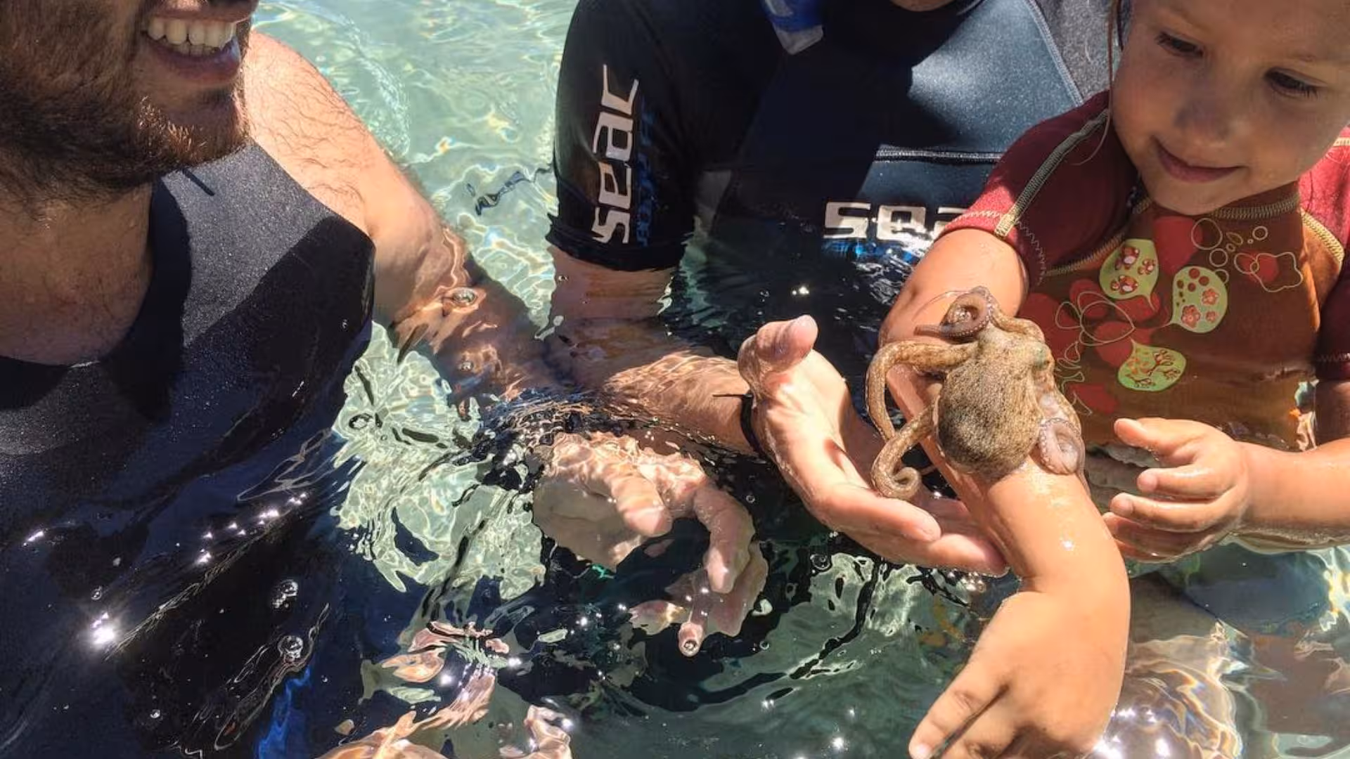 Child interacts with an octopus while snorkeling in the clear waters of the Orosei Gulf near Cala Gonone.