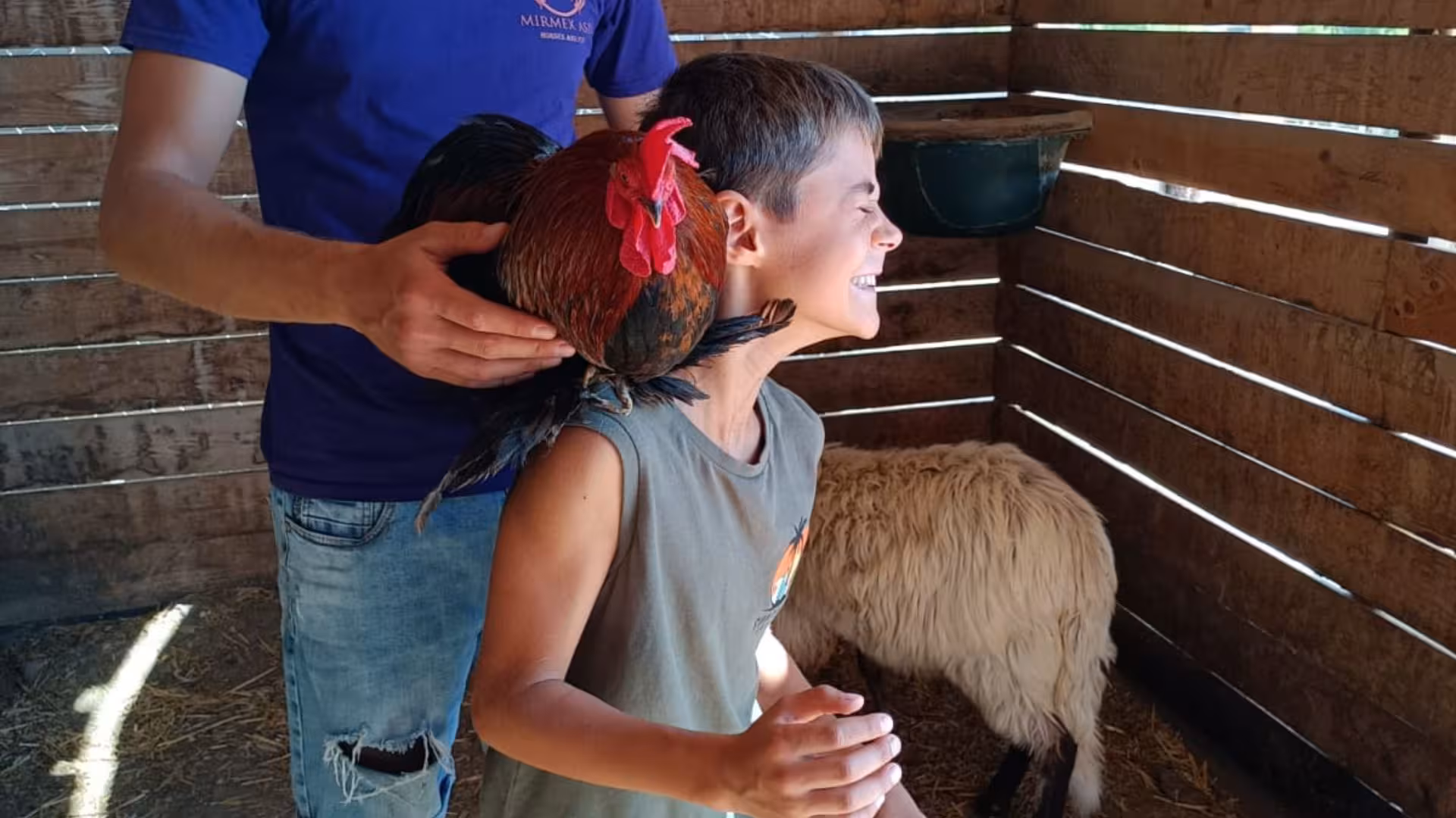 Child laughing with a rooster perched on their shoulder inside a Cagliari farm animal enclosure.