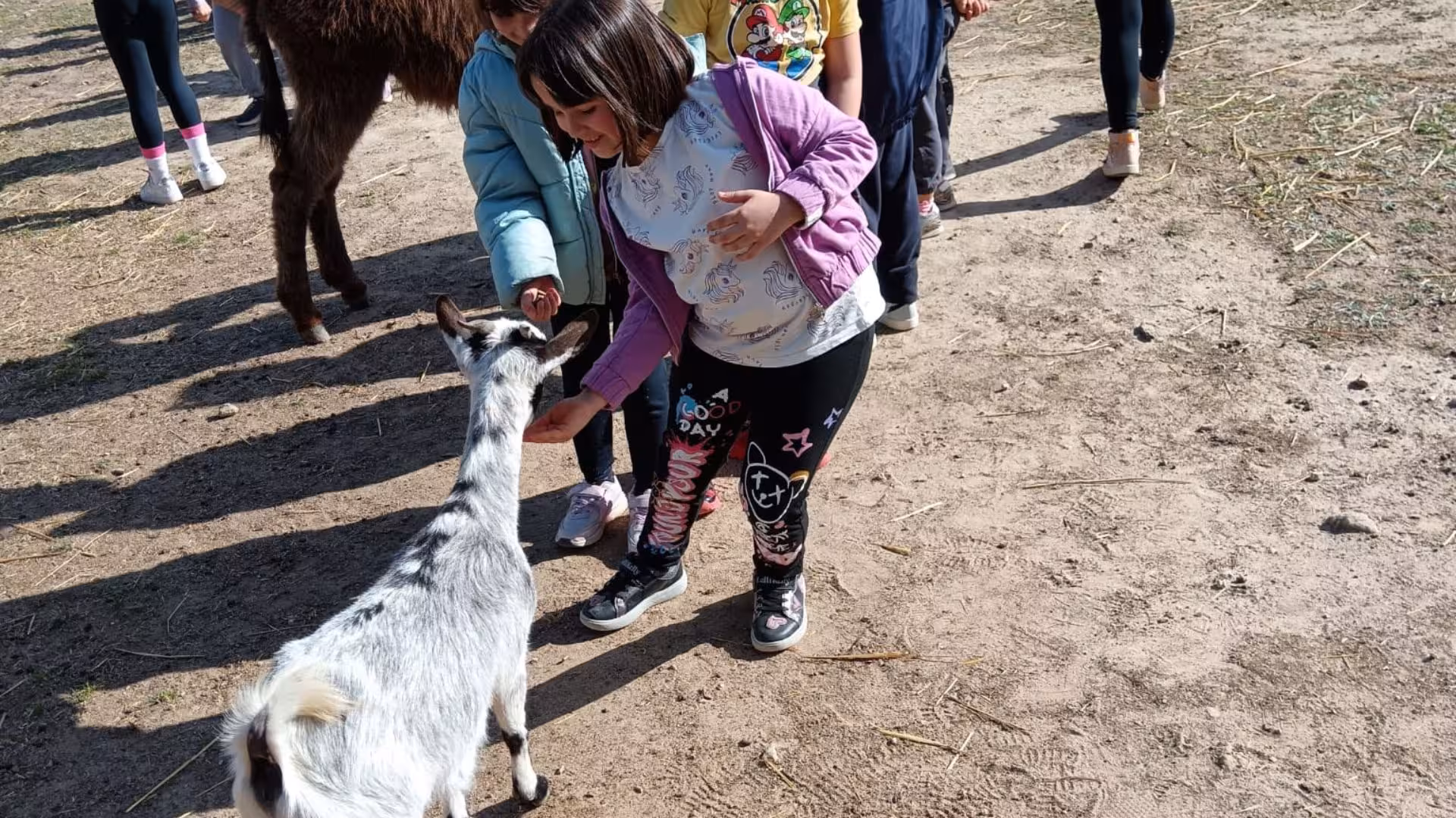 Children joyfully feeding a friendly goat outdoors at a Cagliari farm visit experience.
