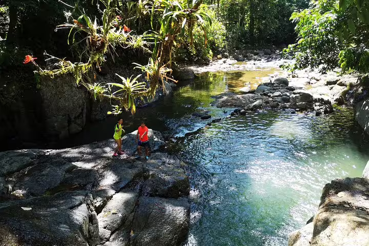 Two children exploring a rocky riverbank surrounded by lush tropical foliage during a mangrove adventure tour.