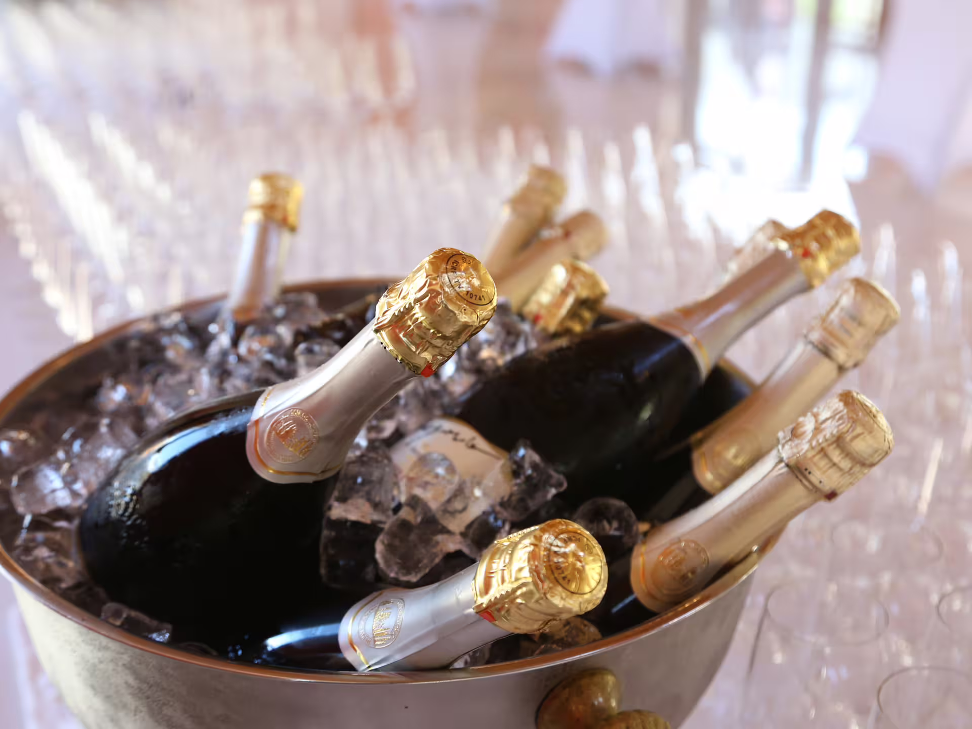 Chilled Prosecco bottles in ice, ready for a refreshing tasting at the countryside winery tour.