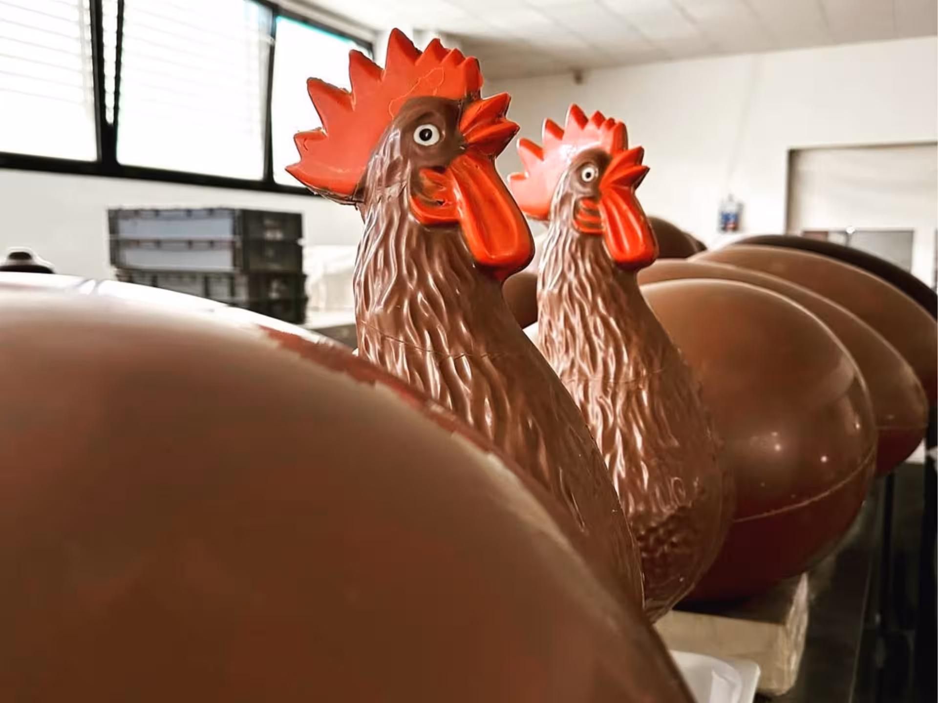 Chocolate rooster sculptures displayed at Alessandria chocolate factory, highlighting creative artisanal craftsmanship.