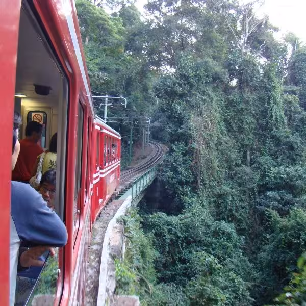 Tourists enjoying scenic tram ride through forest towards Christ the Redeemer in Rio.