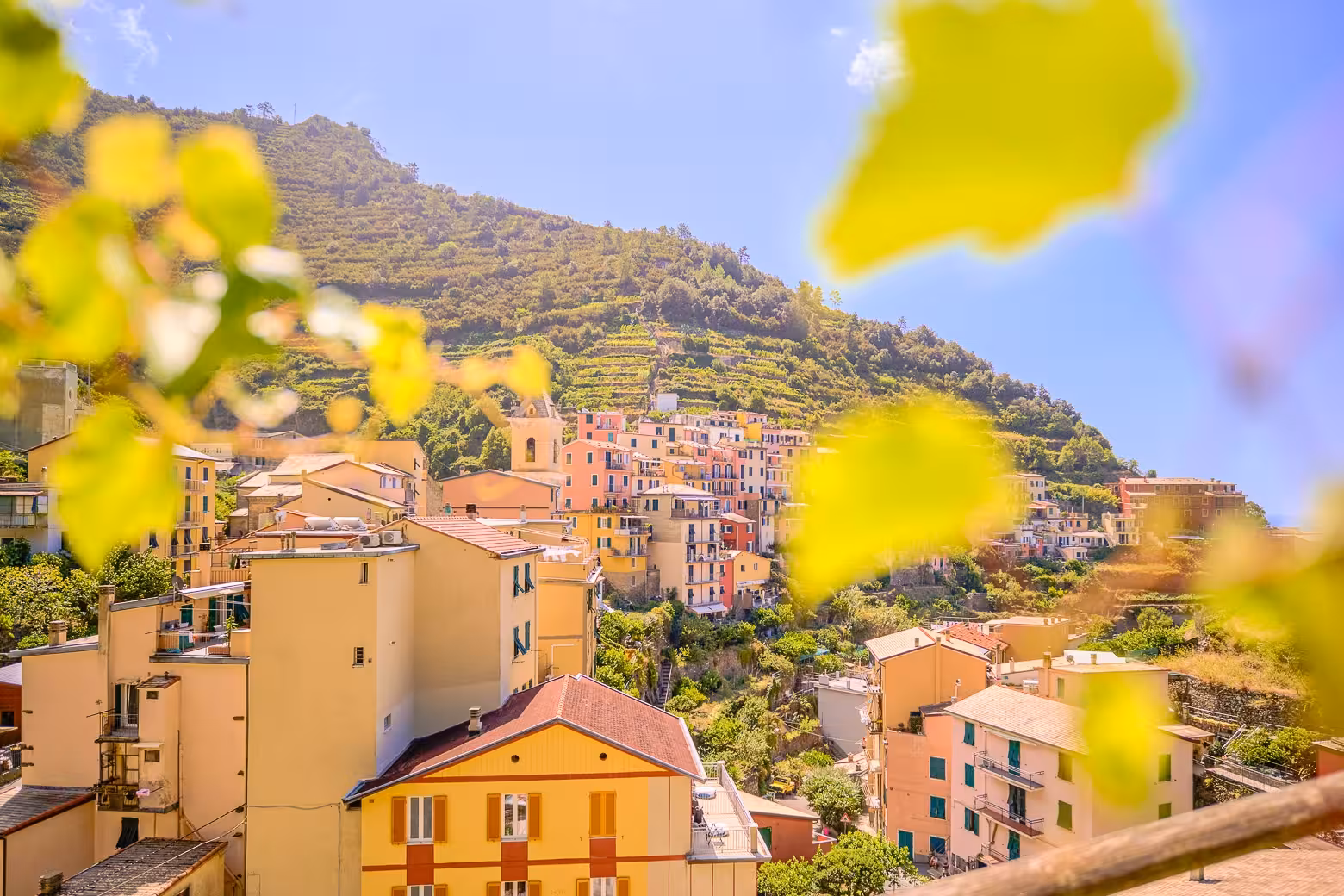 Colorful hillside village in Cinque Terre with lush vineyards, a highlight of the small group tour from La Spezia Port.