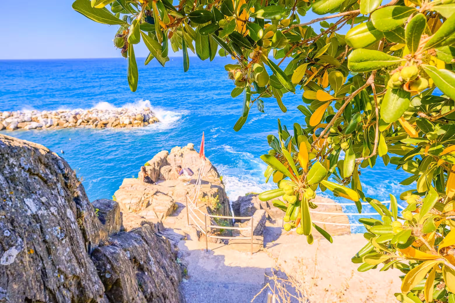 Breathtaking seaside path in Cinque Terre framed by lush foliage, offering stunning ocean views on the hiking tour.