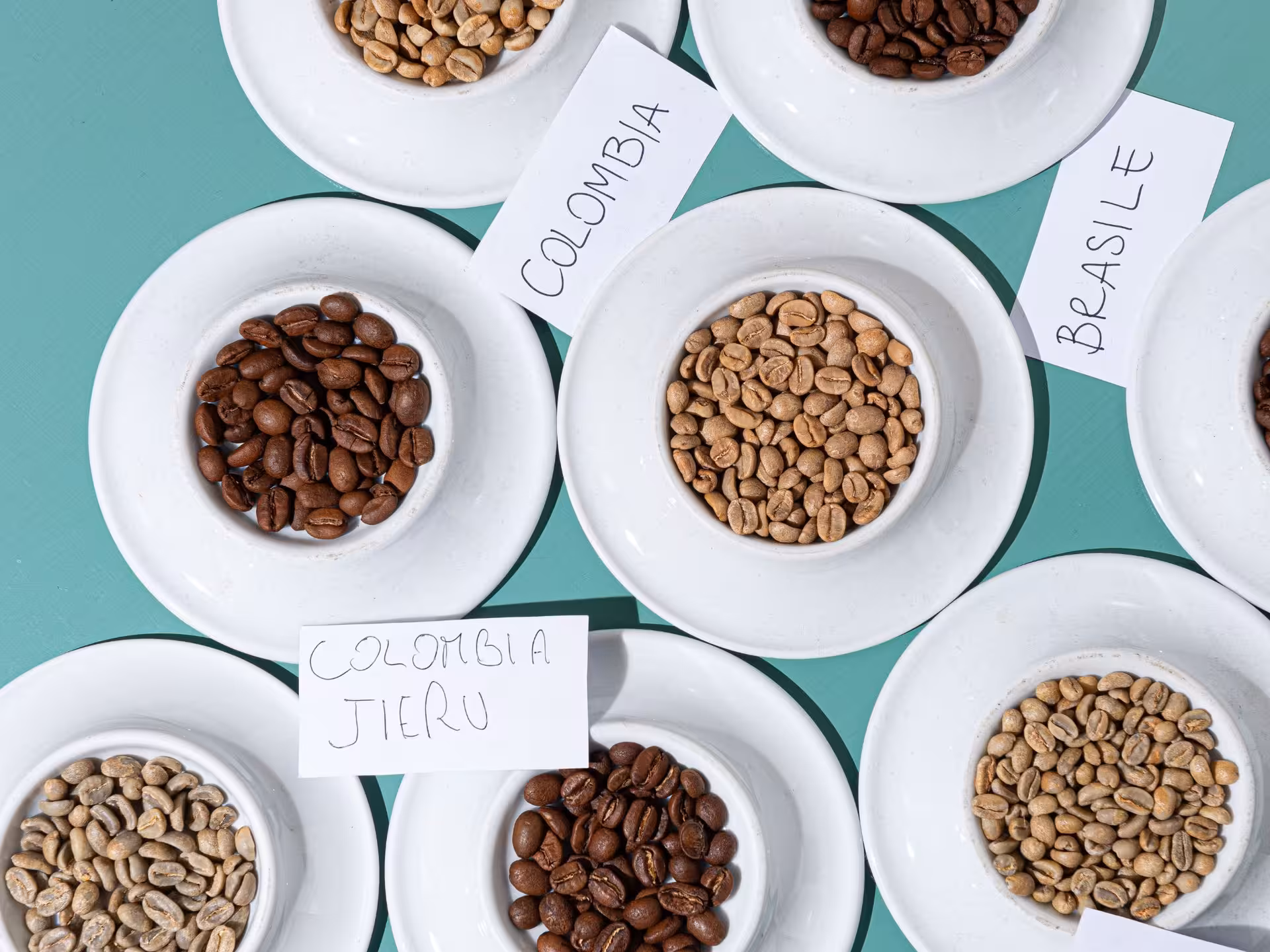 Assorted coffee beans from Colombia and Brazil displayed in white bowls for tasting in a Rome coffee workshop.