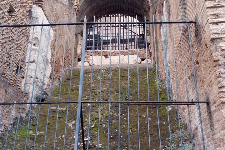 View the gated entrance to the underground chambers of Rome's Colosseum on our exclusive small group tour.