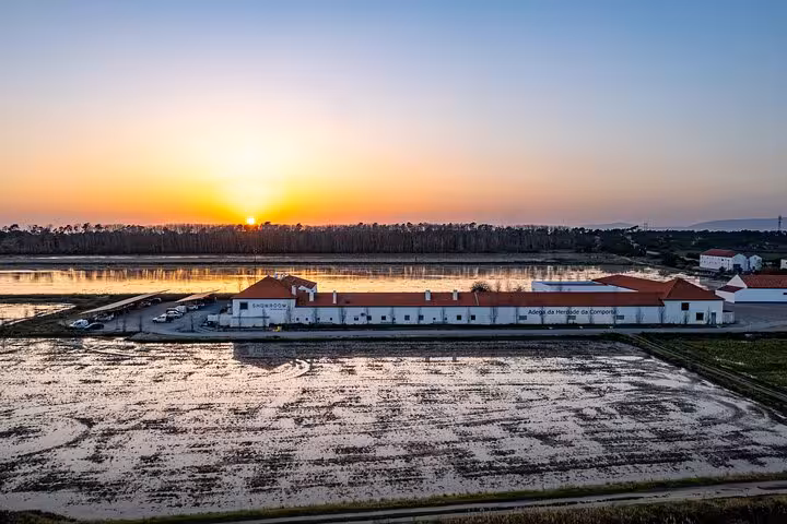 Scenic sunset view of a vineyard and winery in Comporta during the Private Arrábida Wine Tour from Lisbon.
