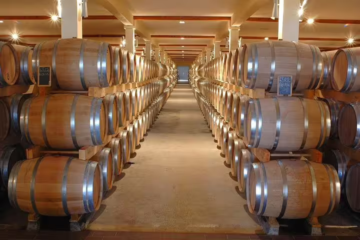 Rows of oak barrels in a dimly lit wine cellar showcase Constantia's rich winemaking heritage.