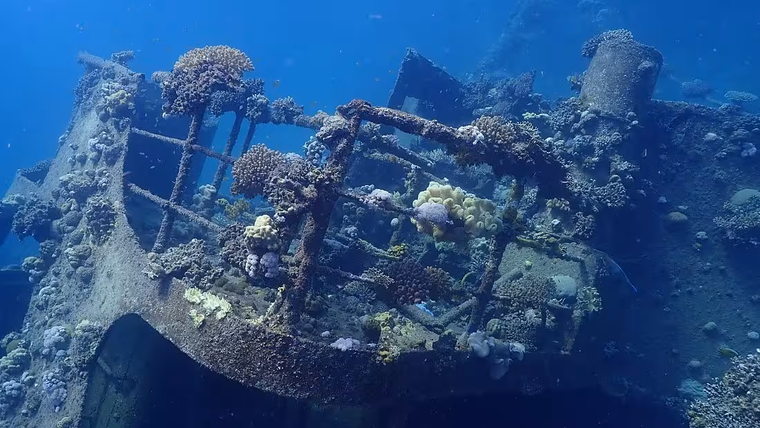 Explore a captivating coral-encrusted shipwreck beneath the Red Sea waters near Marsa Alam, Egypt.