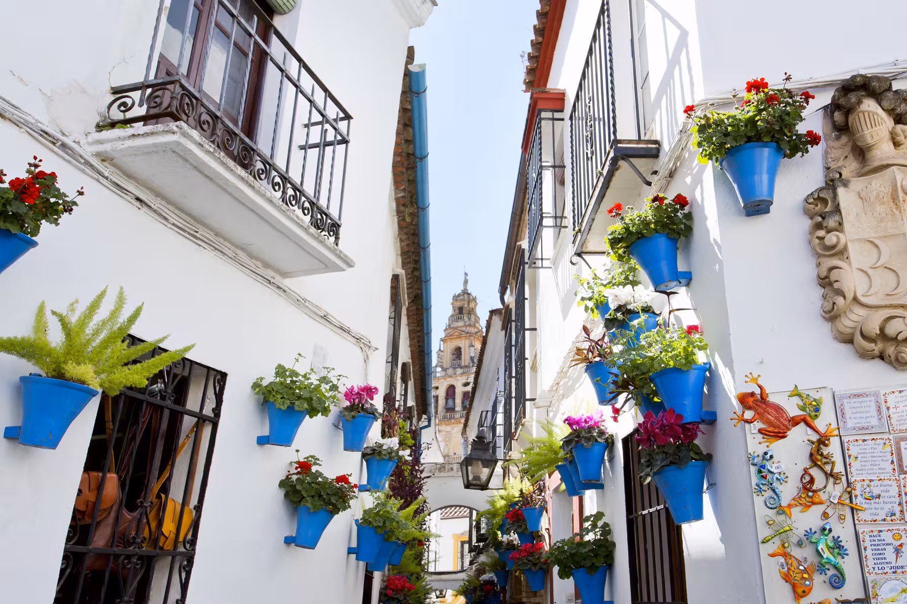 Córdoba flower street with blue pots and whitewashed walls, a charming stop on Encantos Locales tour