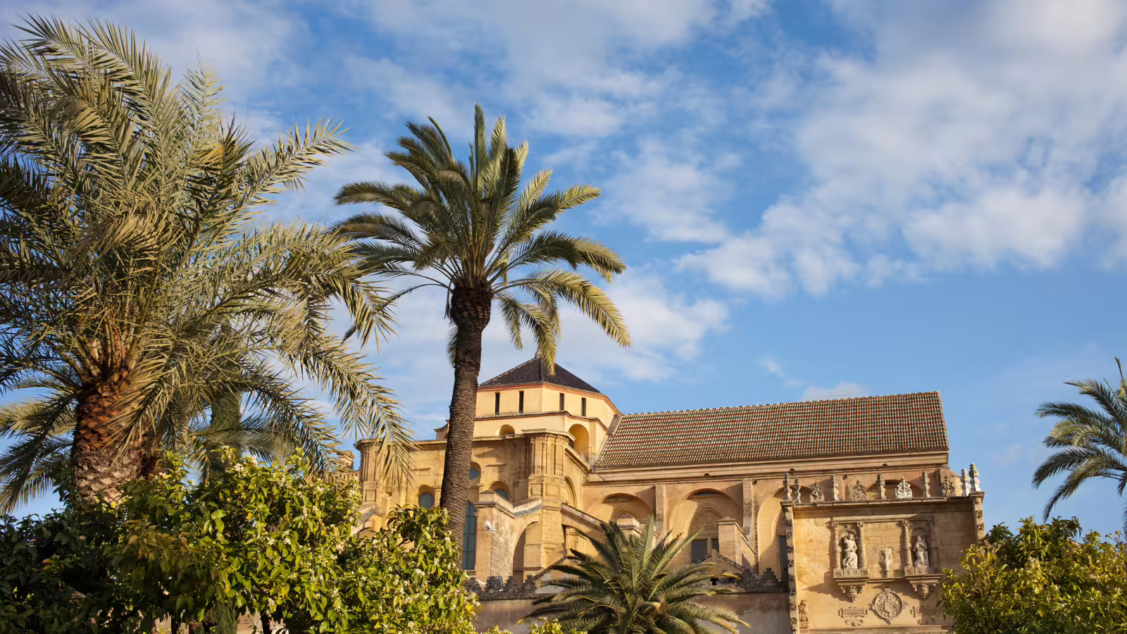 Palm-framed view of the Mezquita-Catedral of Córdoba, a highlight stop on a private walking tour in Spain