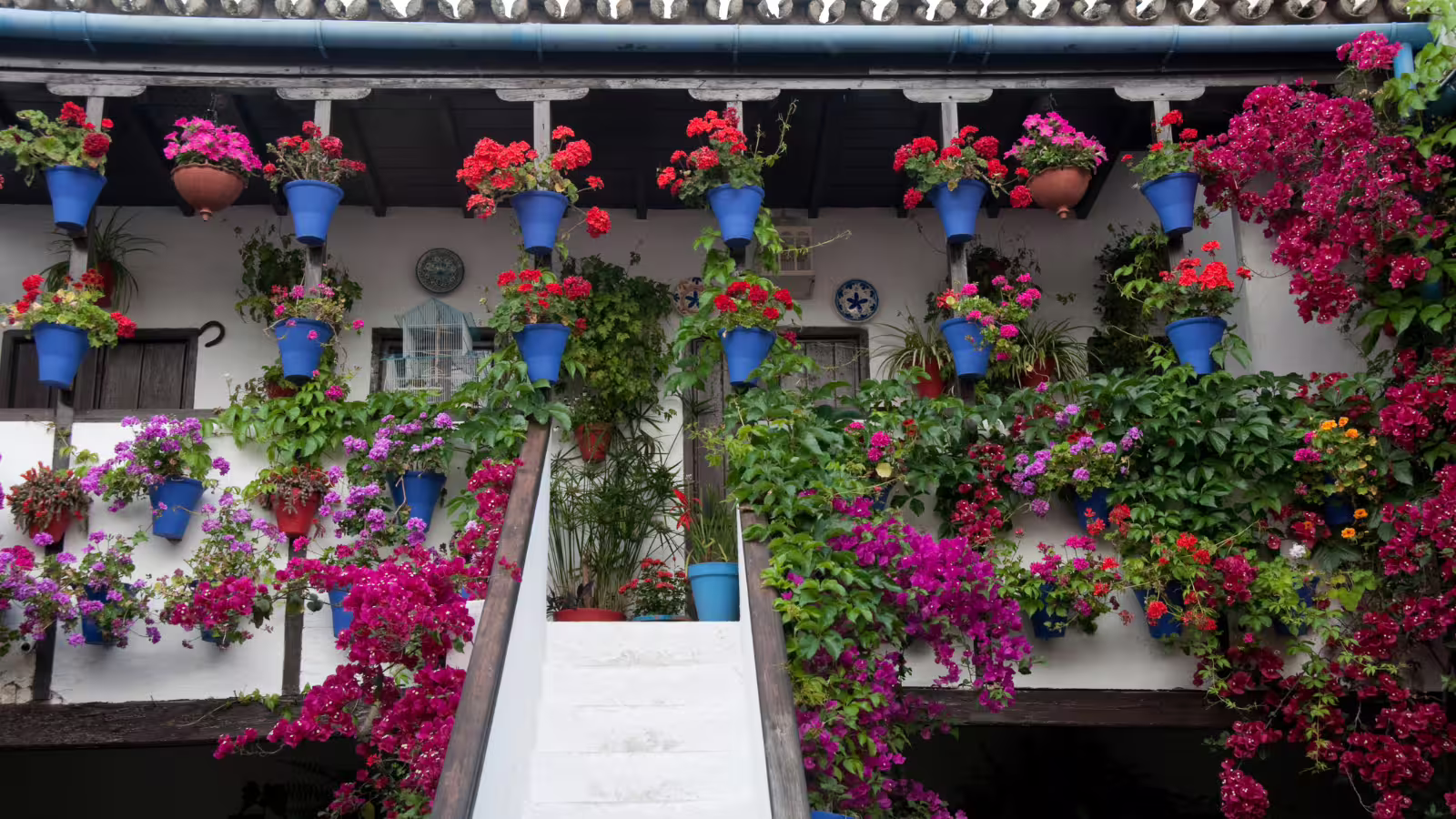 Colorful flower pots and blooms in a classic Cordoba patio, a highlight of private trip from Costa del Sol