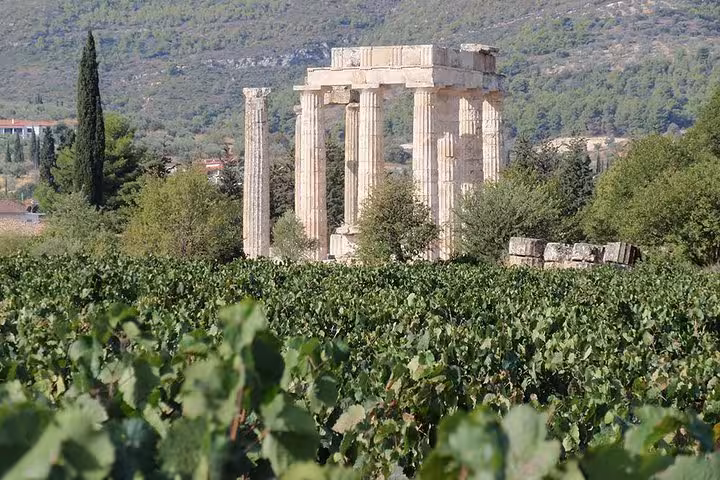 Vineyard and Temple of Apollo ruins in Ancient Corinth, Athens day trip with wine tasting and pottery workshop