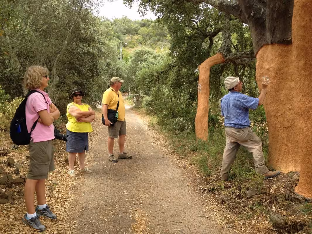 Expert guide explains cork oak harvesting on São Brás de Alportel Algarve cork factory tour