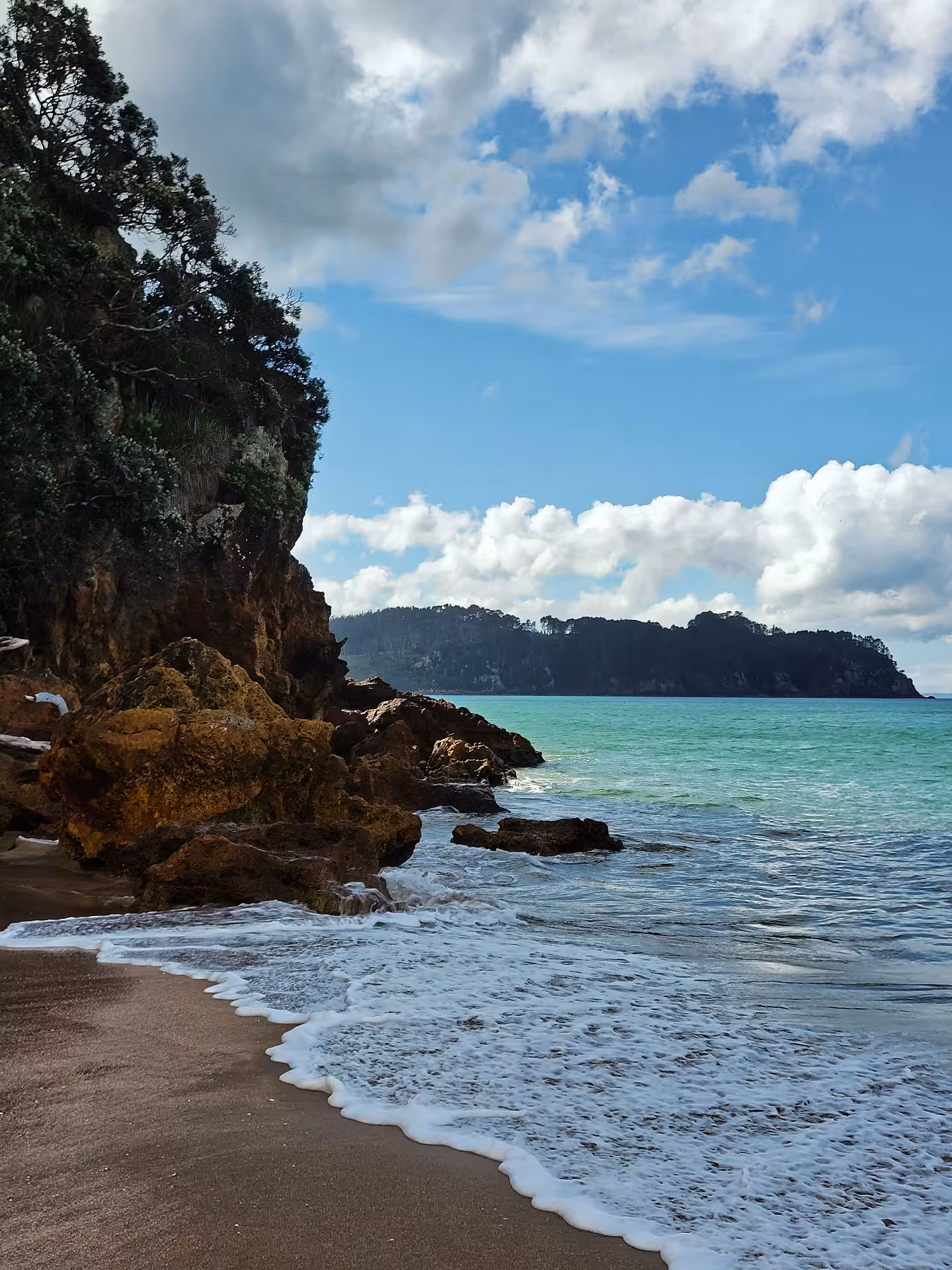 Scenic coastal view of secluded beach with turquoise sea and rocky cliffs on Coromandel Peninsula tour.
