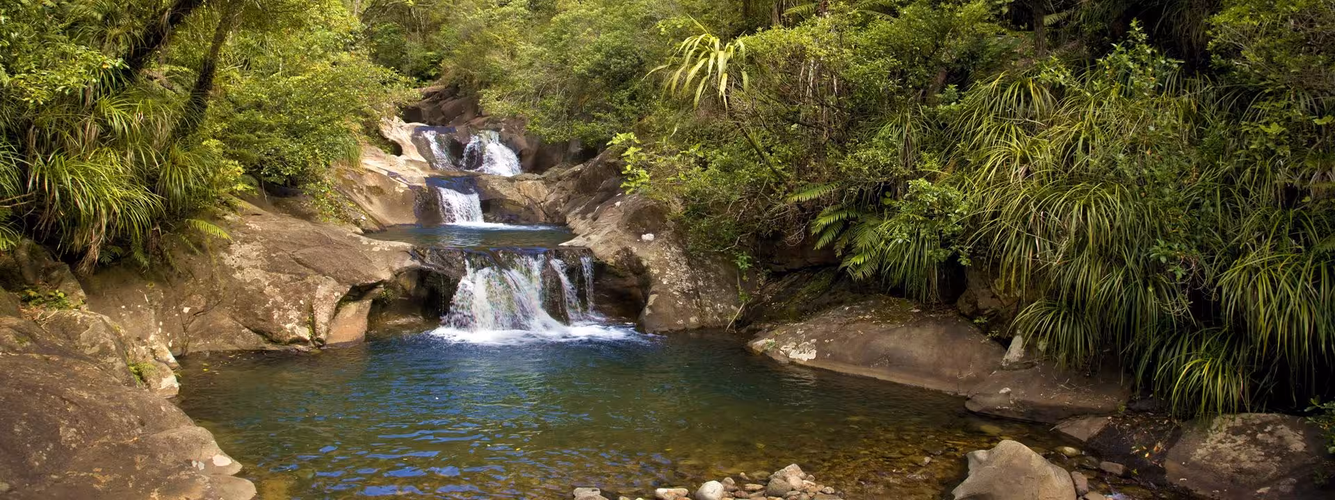 Scenic waterfall surrounded by lush greenery on the Coromandel Peninsula tour, ideal for nature exploration.