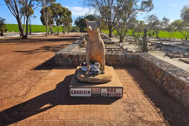 Visit Corrigin Dog Cemetery, a tranquil site with a dog statue, surrounded by trees and a clear blue sky.