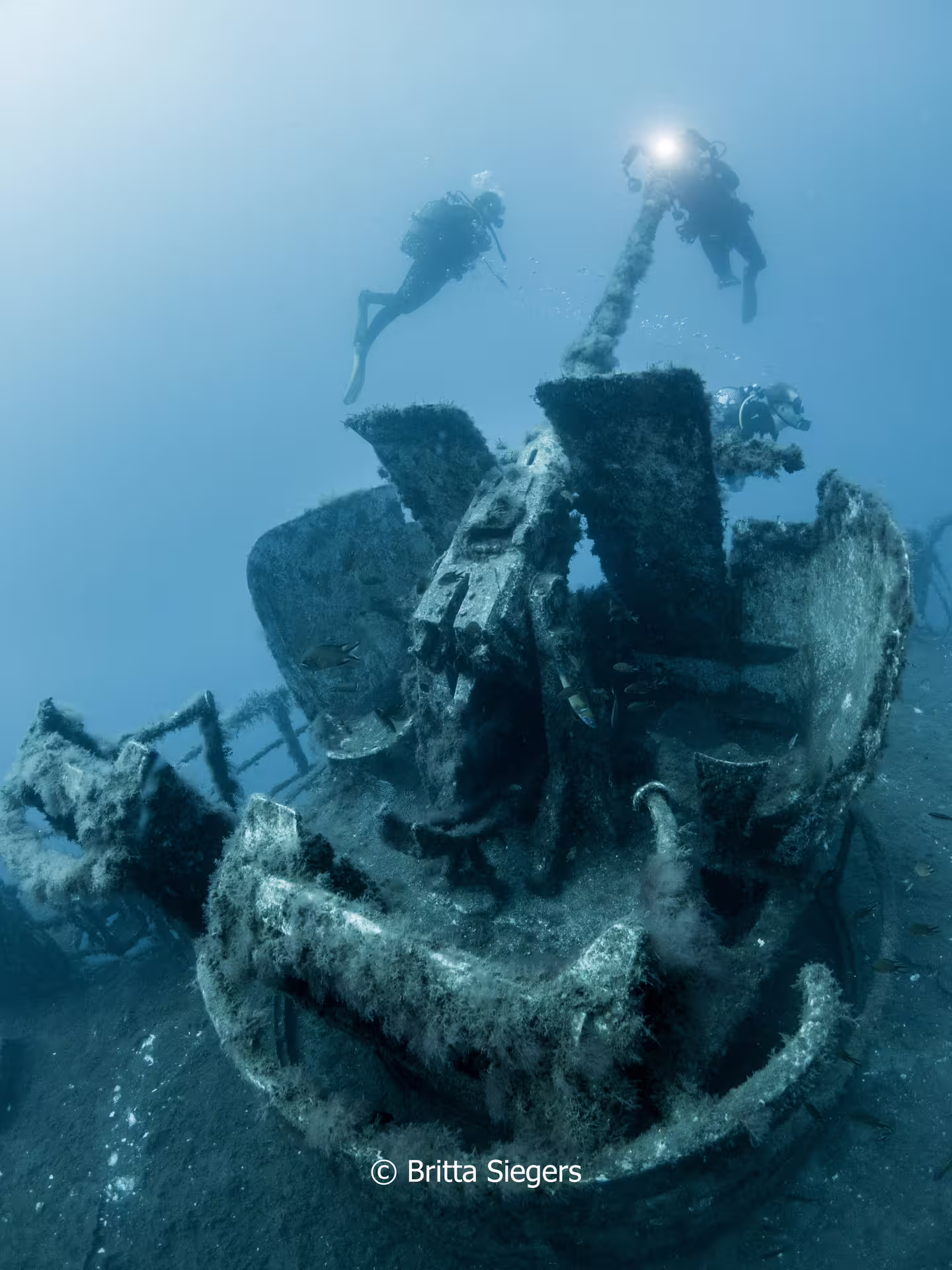 Divers explore the sunken wreck of Corveta Afonso Cerqueira, a vibrant underwater adventure teeming with marine life.