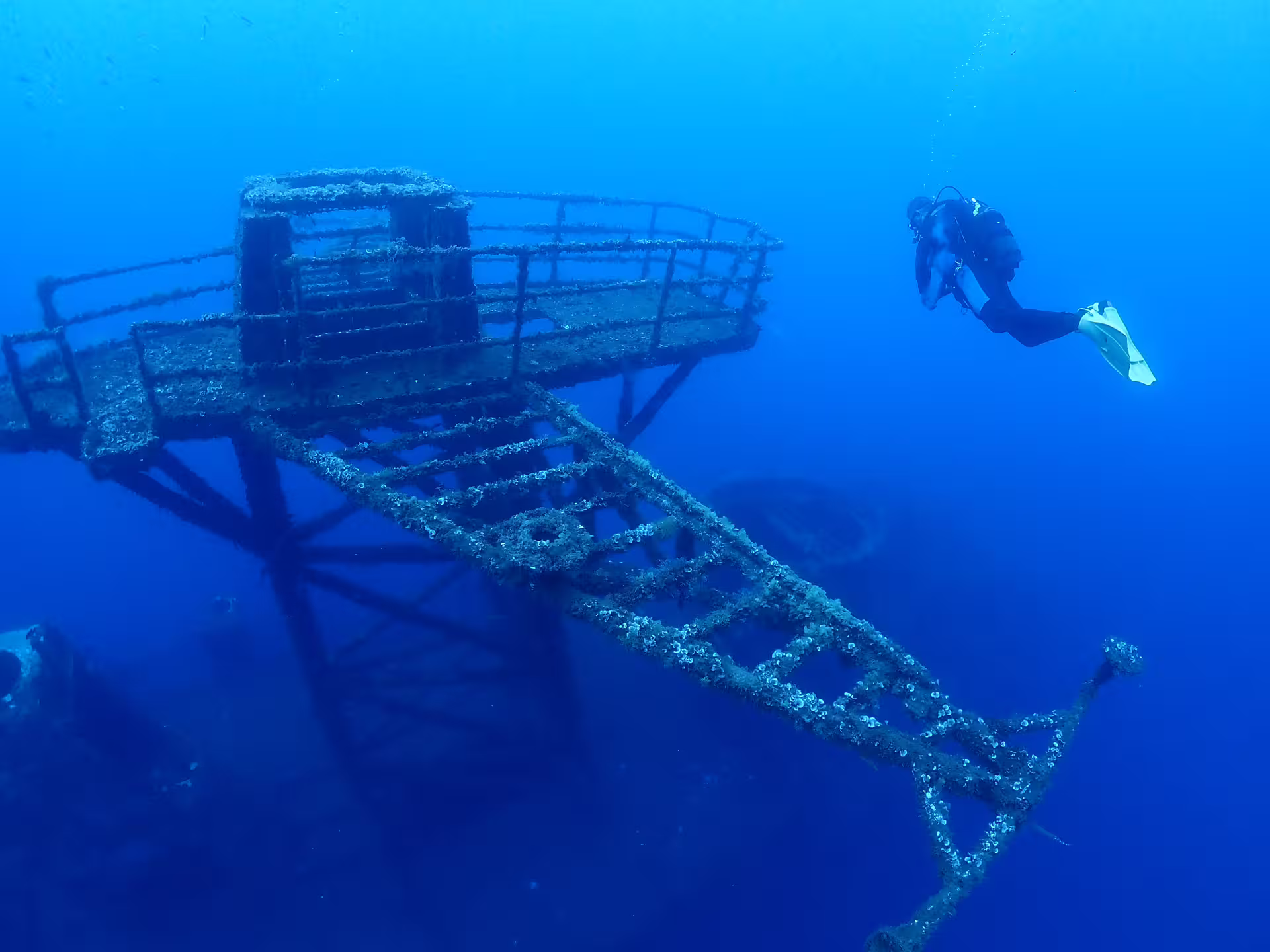 Scuba diver explores the vibrant marine life surrounding the sunken wreck of Corveta Afonso Cerqueira in clear blue waters.