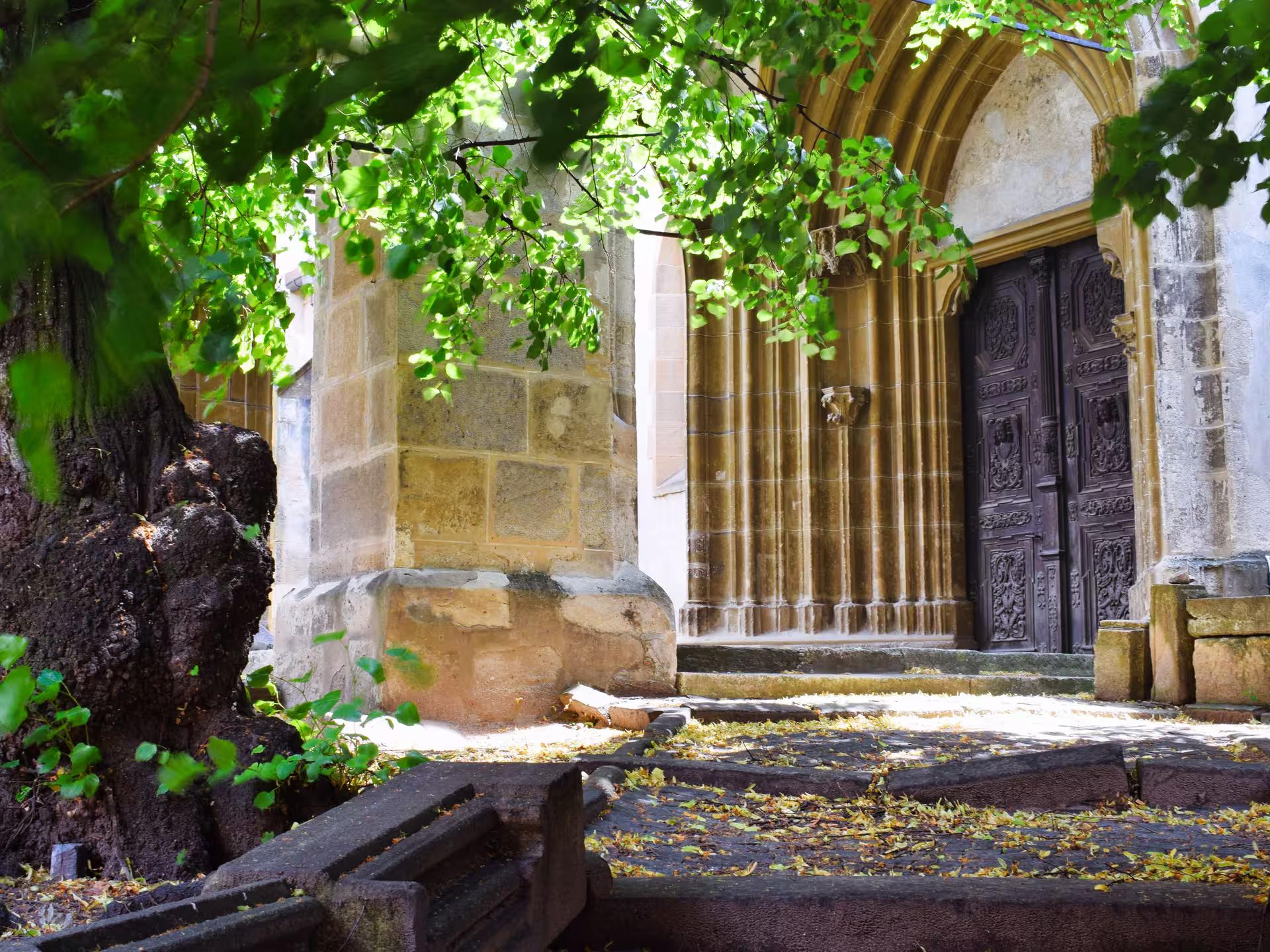 Gothic arched entrance of Corvin Castle with ornate carved wooden doors framed by lush green tree branches in Romania