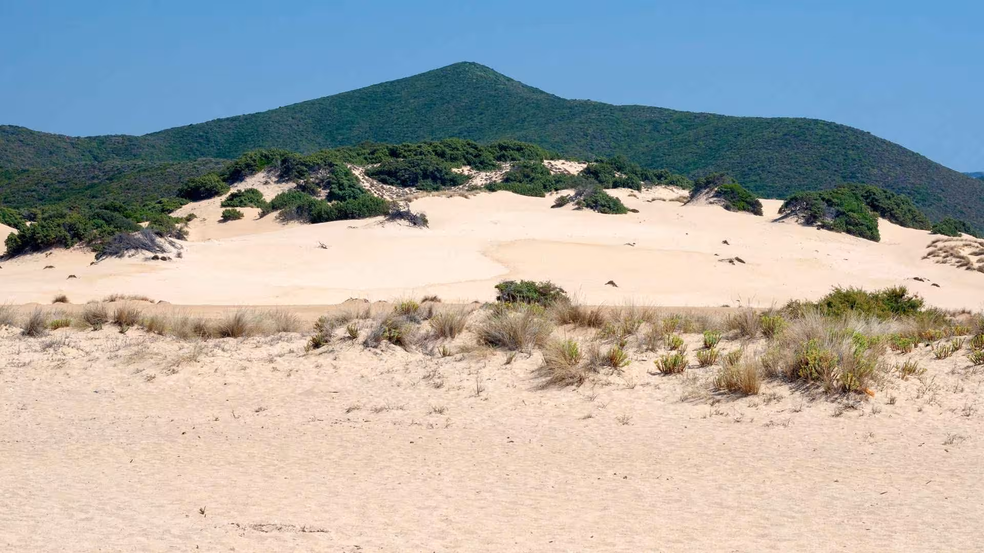 Vast sandy dunes with lush green hills in the background on Costa Verde off-road journey.