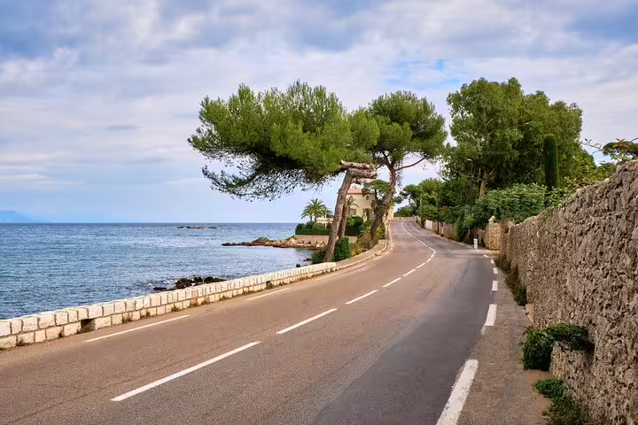 Scenic seaside road along the Cote d’Azur with pine trees and Mediterranean views on the French Riviera