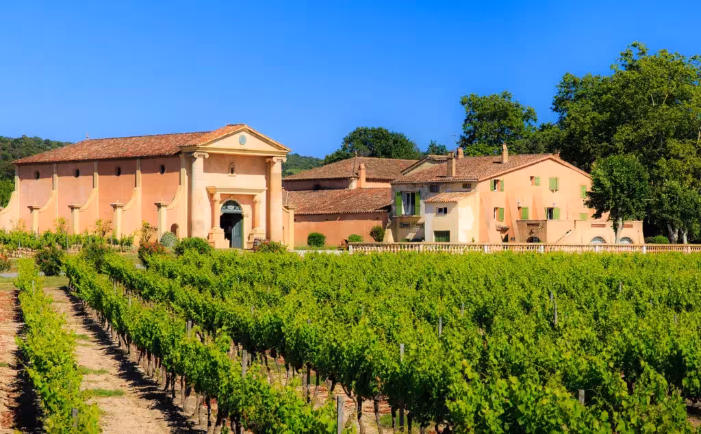 Provence vineyard estate in Coteaux d'Aix-en-Provence with Sainte-Victoire Mountain wine tour scenery