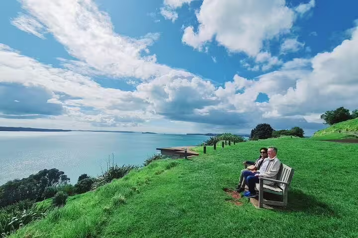 Couple enjoying scenic views of Auckland's coastline from a grassy hill during a private day tour.