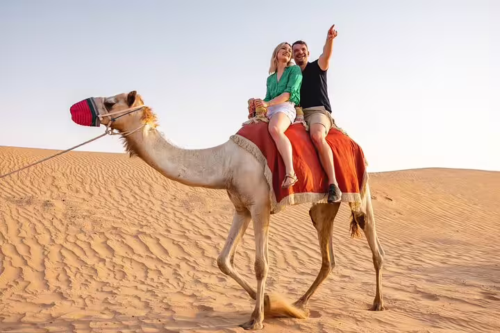 Couple experiencing a serene camel ride across sunlit desert sands, with one pointing towards the horizon.