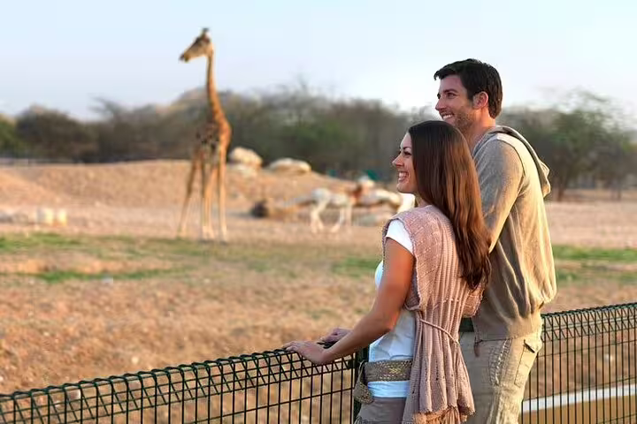 Couple enjoying giraffe view at Al Ain Zoo during private garden city tour experience.