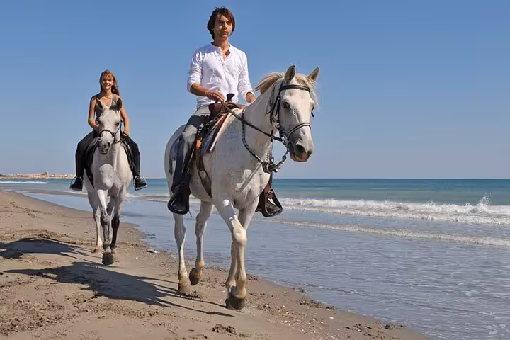 Couple horseback riding along Hurghada beach by the Red Sea on a 3-hour swim with horses tour