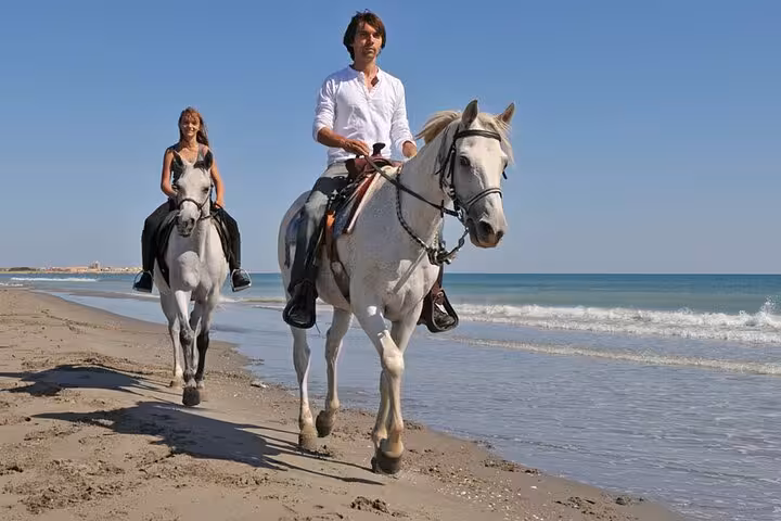 Couple horseback riding along the Red Sea beach on a Sharm El Sheikh tour with hotel transfer included