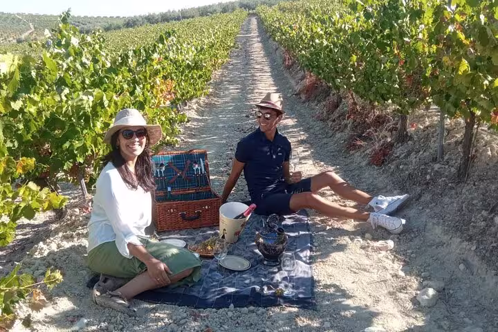 Couple enjoying a picnic in a vineyard in Cordoba, surrounded by lush grapevines under the warm sun.