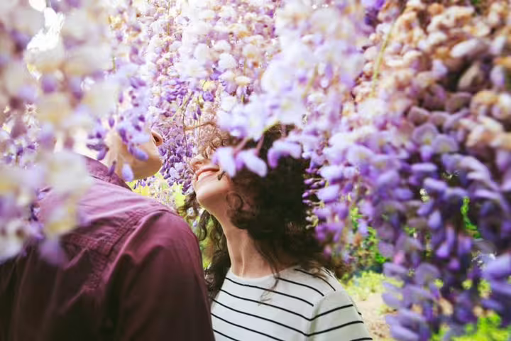 Couple portrait under blooming wisteria in Berlin, romantic vacation photo session with personal photographer