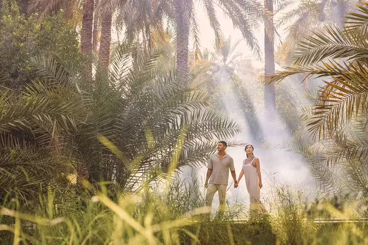 Couple holding hands amidst lush palm trees and sunlight in Al Ain's private garden tour.