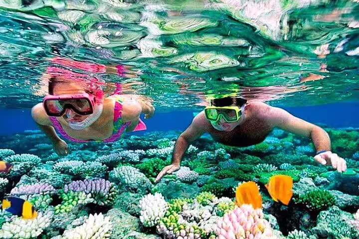 Couple snorkeling over vibrant coral reef in Marsa Alam on VIP Samadai dolphin house boat trip