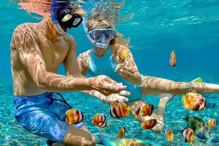 Couple snorkeling in crystal-clear Red Sea near Hurghada VIP boat trip, watching colorful reef fish
