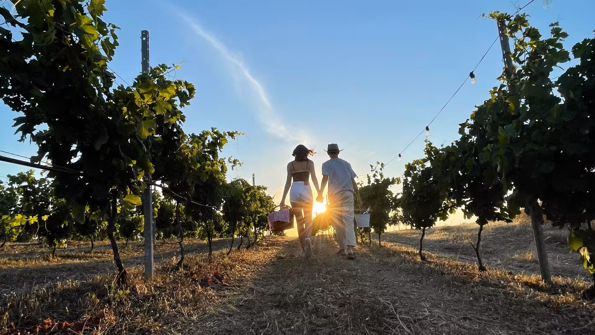 Couple walking in vineyard at sunset, enjoying romantic picnic experience in Gallura estate, Palau.