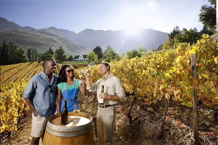 Couple enjoying wine tasting in a sunlit vineyard with stunning mountain views in Franschhoek on the Cape Winelands tour.