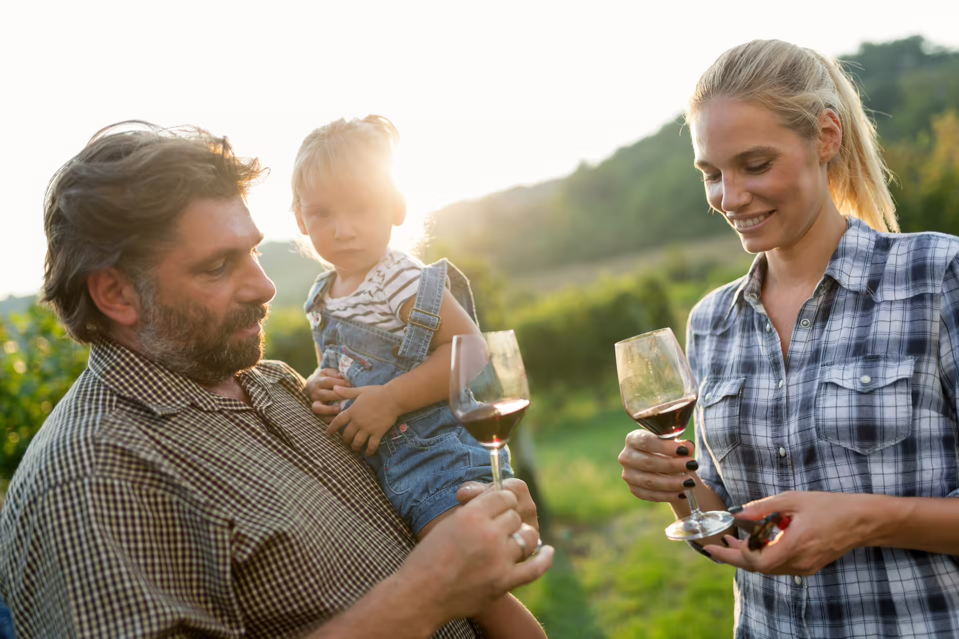 Couple tasting red wine in a vineyard at sunset during harvest wine tour, scenic winery experience with family