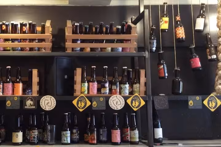 Shelves filled with diverse craft beer bottles in a Rome establishment, ideal for the Art & Craft Beer Tour experience.