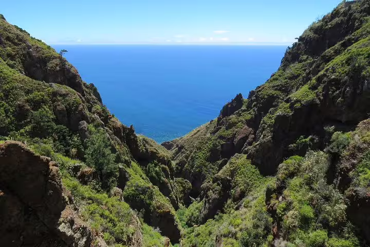Lush green cliffs descending into a deep valley with a stunning ocean view, captured on the Craters of Fire 4X4 Full-Day Tour.