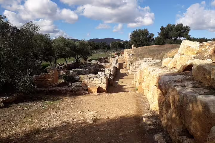 Sunlit stone pathways of ancient ruins with scenic olive trees on a Crete Countryside Private Tour.