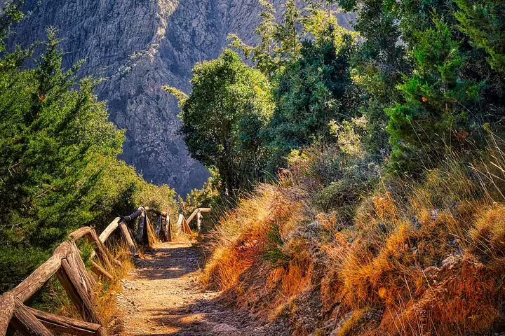 Scenic mountain path lined with lush greenery in Crete's hiking trails near Chania.