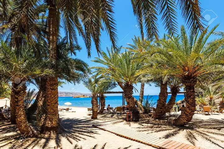 Palm-lined beach in Crete with turquoise sea and loungers, relaxing stop on a 7-day private guided tour