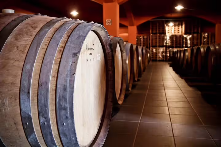 Aging wine barrels lined up in a dimly lit cellar on the Crete Wine Discovery Tour, showcasing traditional winemaking.