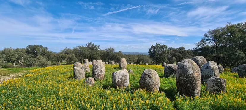 Explore the mystical Cromlech of Almendres, a prehistoric stone circle in Évora, surrounded by vibrant wildflowers.